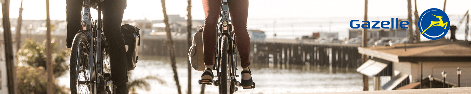 Elektrische fietsen