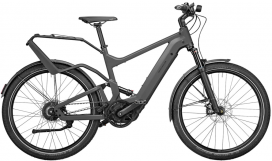 Riese und Muller Delite GT vario warm grey matt