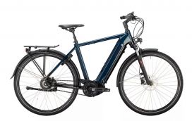 Victoria eTrekking 11.9 GTS