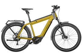 Riese und Muller Supercharger GT touring curry