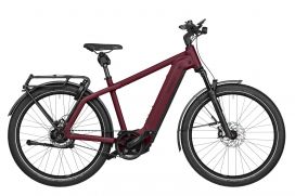 R&M Charger4 GT rohloff dark red matt