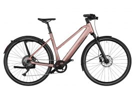 R&M UBN Seven touring rose