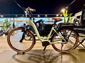 R&M Swing3 vario 51 Salvia matt 500Wh