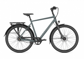 Gazelle Chamonix S8 Heren