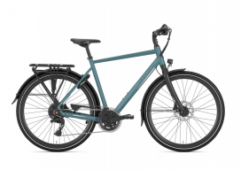 Gazelle Chamonix T20 Heren