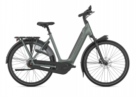 Gazelle Grenoble C8+ Twilight Green