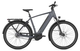 Gazelle Ultimate C5+ Heren