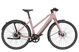 R&M UBN Seven vario rose
