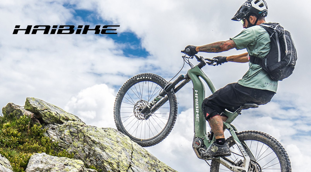 Haibike 2020